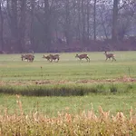 De Rouwenbogt