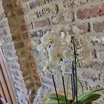 Holiday home De Rouwenbogt