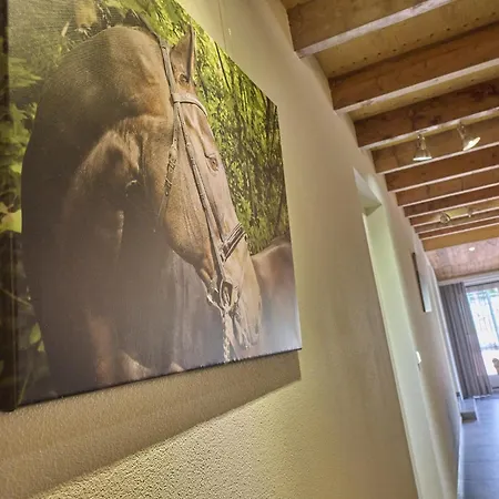 Holiday home De Rouwenbogt