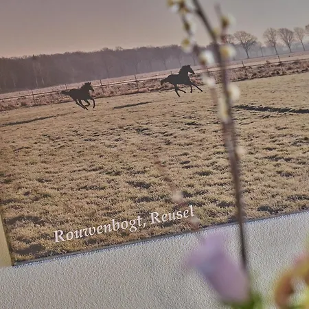 Holiday home De Rouwenbogt Reusel
