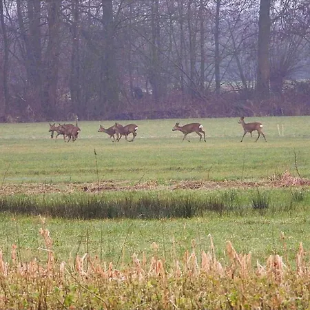 Holiday home De Rouwenbogt *