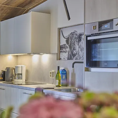 De Rouwenbogt Tatil Evi Reusel