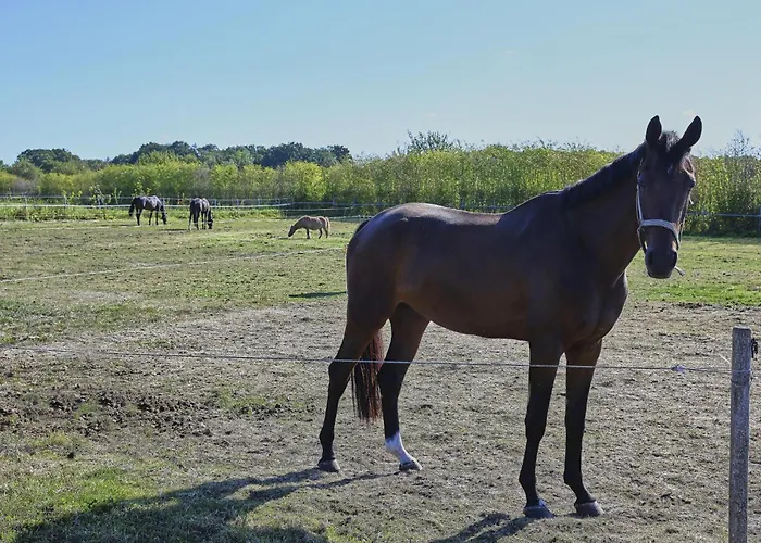 De Rouwenbogt Σπίτι διακοπών Reusel