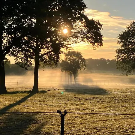 De Rouwenbogt * Reusel